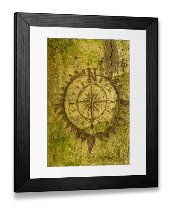 Framed Print : Issaquah, Washington State, USA. Carving of a compass on a moss-covered tree Framed Print : Issaquah, Washington State, USA. Carving of a compass on a moss-covered tree