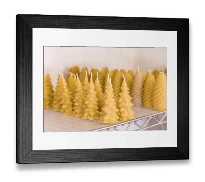 Framed Print : Maple Valley, Washington State, USA. Handmade tree-shaped and pinecone-shaped beeswax