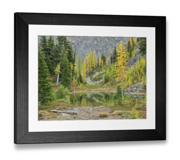 Framed Print : USA, Washington State. Okanogan-Wenatchee National Forest, Alpine pond Framed Print : USA, Washington State. Okanogan-Wenatchee National Forest, Alpine pond