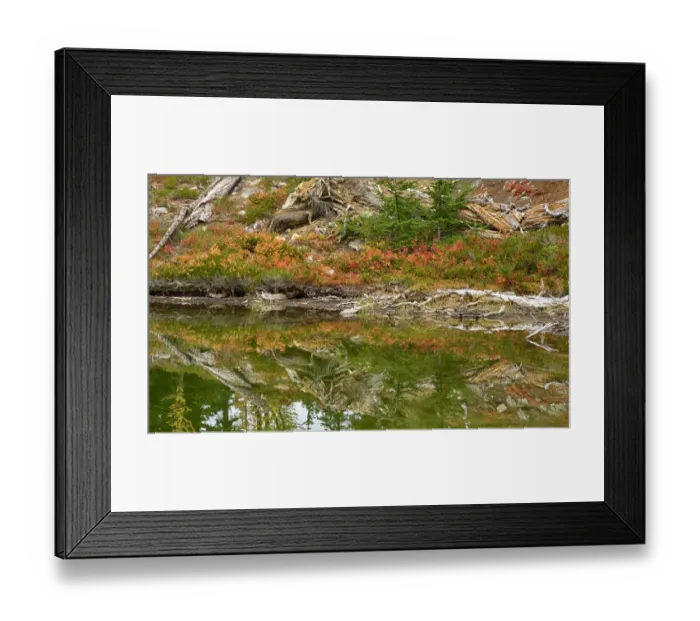Framed Print : USA, Washington State. Okanogan-Wenatchee National Forest, Alpine pond Framed Print : USA, Washington State. Okanogan-Wenatchee National Forest, Alpine pond