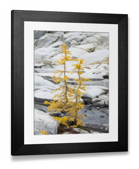 Framed Print : Washington State, Alpine Lakes Wilderness Framed Print : Washington State, Alpine Lakes Wilderness