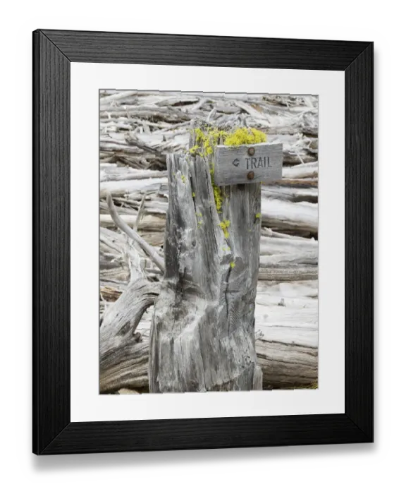 Framed Print : Washington State, Alpine Lakes Wilderness. Trail sign