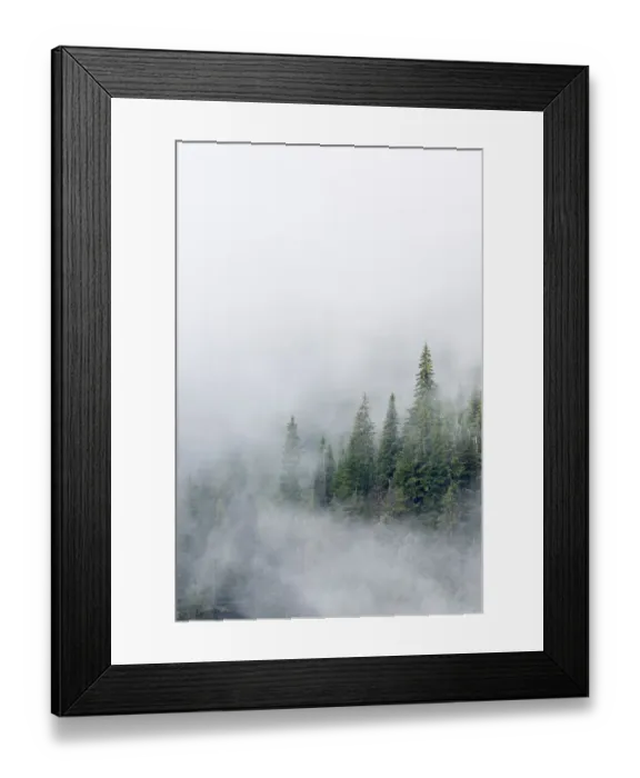Framed Print : USA, Washington State. Mount Rainier National Park, Fir Trees in Clouds Framed Print : USA, Washington State. Mount Rainier National Park, Fir Trees in Clouds