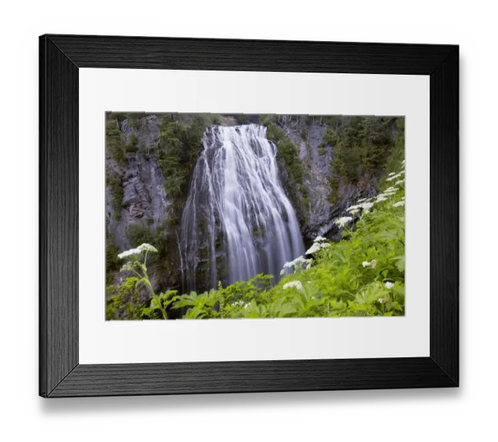 Framed Print : USA, Washington State. Mount Rainier National Park, Narada Falls Framed Print : USA, Washington State. Mount Rainier National Park, Narada Falls