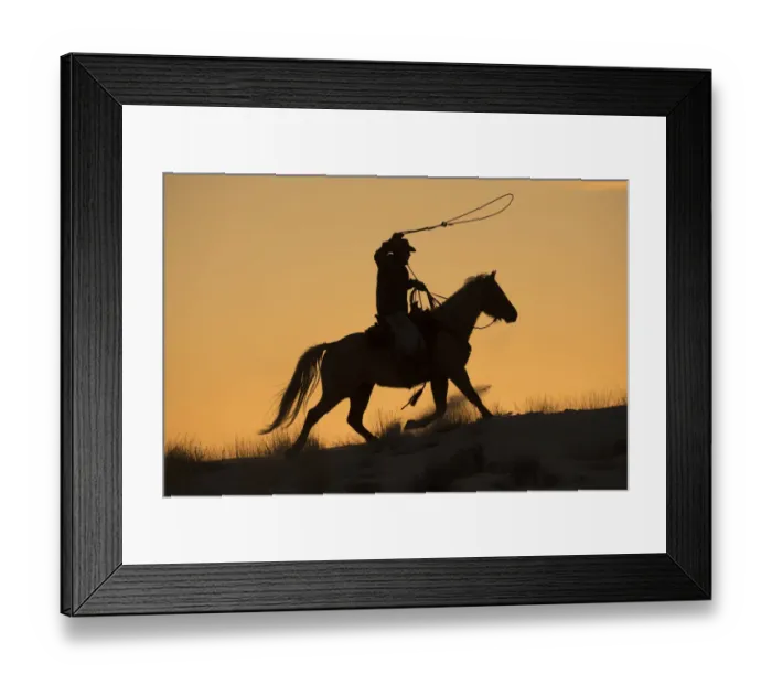 Framed Print : Cowboy horse drive on Hideout Ranch, Shell, Wyoming Framed Print : Cowboy horse drive on Hideout Ranch, Shell, Wyoming