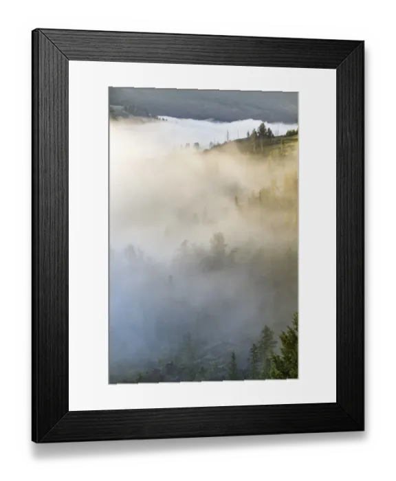Framed Print : USA, Wyoming, Yellowstone National Park. Mist envelopes the Yellowstone River canyon Framed Print : USA, Wyoming, Yellowstone National Park. Mist envelopes the Yellowstone River canyon