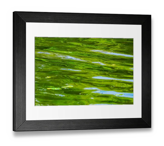Framed Print : Abstract reflection, Lake Washington, Juanita Bay Park, Kirkland, Washington State Framed Print : Abstract reflection, Lake Washington, Juanita Bay Park, Kirkland, Washington State