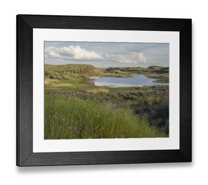 Framed Print : USA, Washington State. Columbia National Wildlife Refuge, Migraine Lake Framed Print : USA, Washington State. Columbia National Wildlife Refuge, Migraine Lake