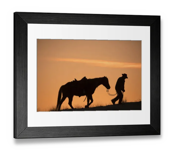 Framed Print : Horse drive in winter on Hideout Ranch, Shell, Wyoming. Cowboy leading his horse at sunset Framed Print : Horse drive in winter on Hideout Ranch, Shell, Wyoming. Cowboy leading his horse at sunset