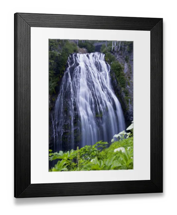 Framed Print : Washington State, Mount Rainier National Park. Narada Falls Framed Print : Washington State, Mount Rainier National Park. Narada Falls