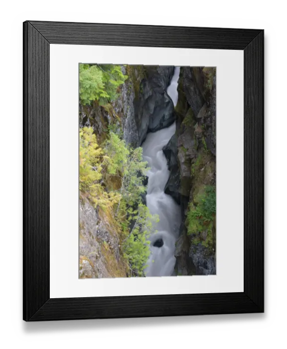Framed Print : Washington State, Mount Rainier National Park. Cowlitz River in Box Canyon Framed Print : Washington State, Mount Rainier National Park. Cowlitz River in Box Canyon