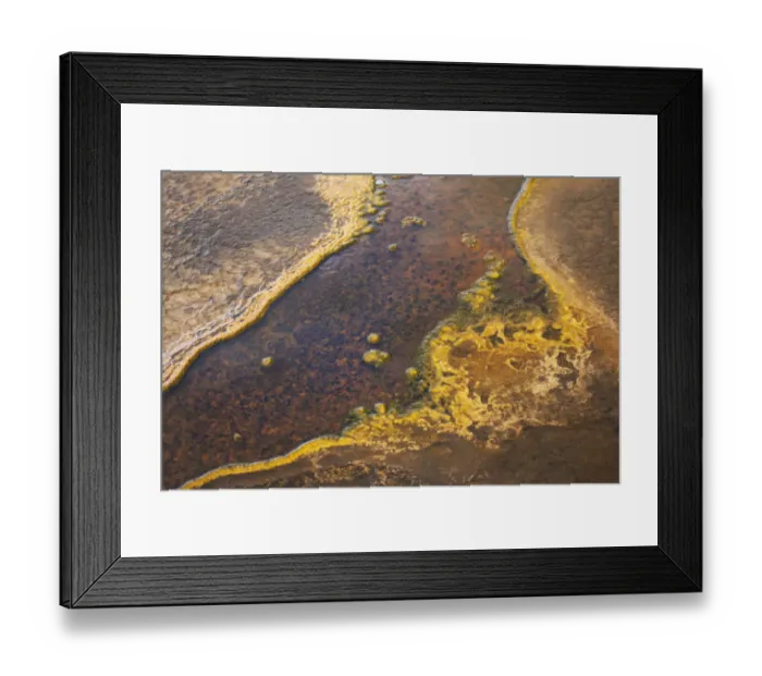 Framed Print : Yellowstone National Park, Wyoming, USA. Thermal bacteria mat