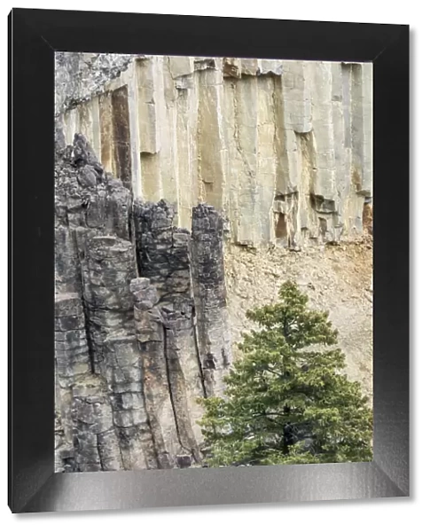 Yellowstone National Park, Wyoming, USA. Rock columns in the canyon north of Tower Fall