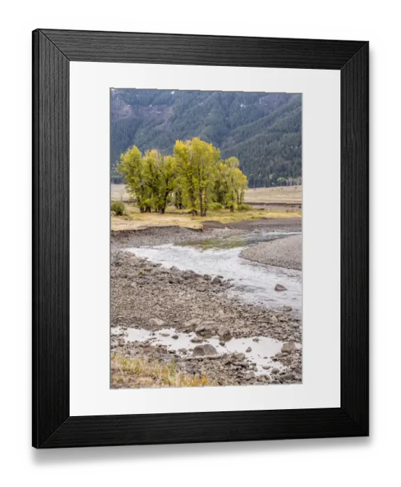 Framed Print : Yellowstone National Park, Wyoming, USA. Scenic landscape of Slough Creek Framed Print : Yellowstone National Park, Wyoming, USA. Scenic landscape of Slough Creek