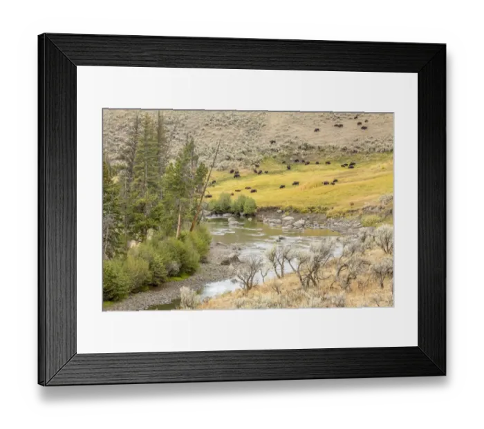 Framed Print : Yellowstone National Park, Wyoming, USA. Pebble Creek landscape in the Lamar Valley Framed Print : Yellowstone National Park, Wyoming, USA. Pebble Creek landscape in the Lamar Valley