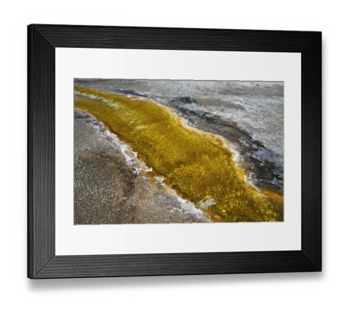 Framed Print : USA, Wyoming, Yellowstone National Park. Algal bloom at Biscuit Basin Framed Print : USA, Wyoming, Yellowstone National Park. Algal bloom at Biscuit Basin