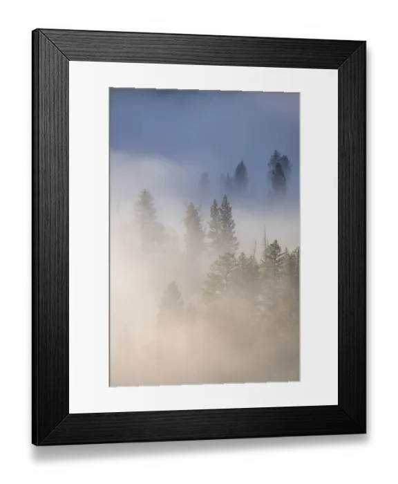 Framed Print : USA, Wyoming, Yellowstone National Park. Cold morning creates a fog above the Yellowstone River Framed Print : USA, Wyoming, Yellowstone National Park. Cold morning creates a fog above the Yellowstone River