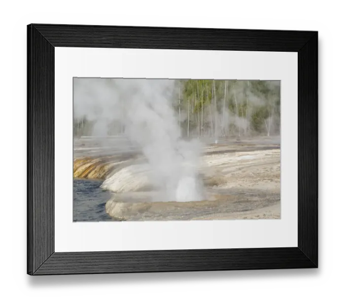 Framed Print : Yellowstone National Park, Biscuit Geyser Basin. Steam rising from the small geysers Framed Print : Yellowstone National Park, Biscuit Geyser Basin. Steam rising from the small geysers