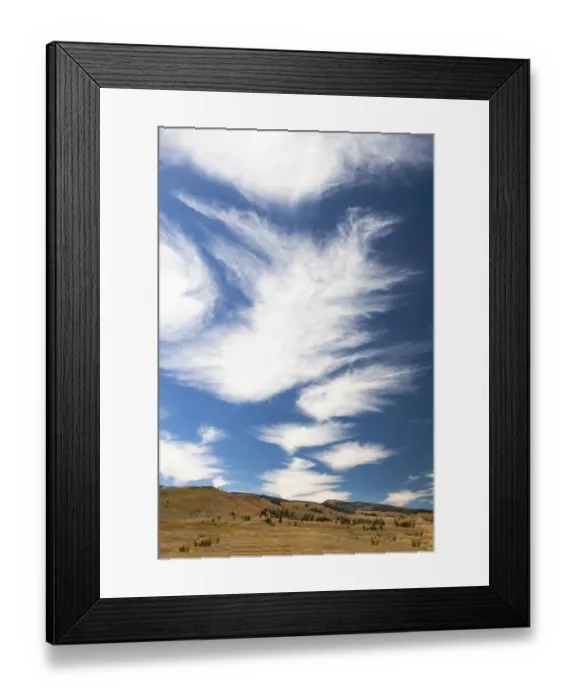 Framed Print : Yellowstone National Park, Lamar Valley. Beautiful clouds dot the sky above the valley