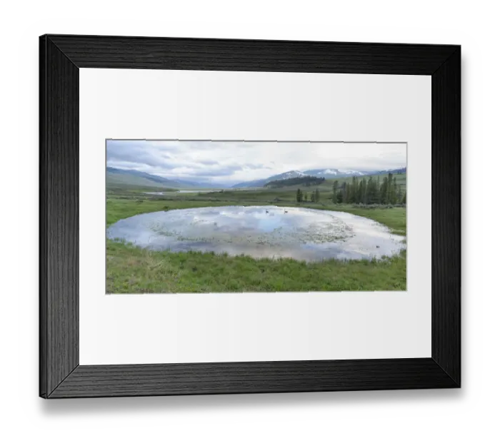 Framed Print : Yellowstone National Park, Lamar Valley. A view of the Lamar Valley in the spring Framed Print : Yellowstone National Park, Lamar Valley. A view of the Lamar Valley in the spring