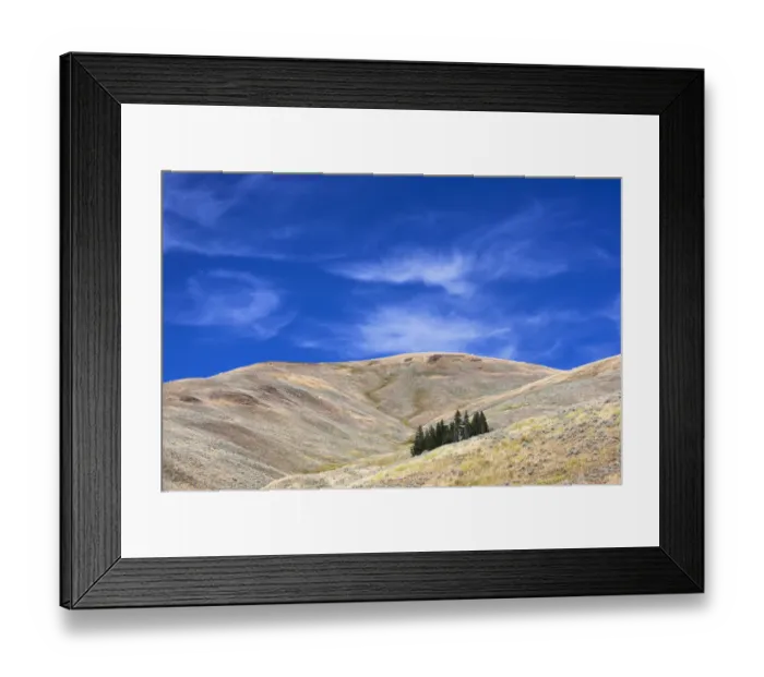Framed Print : Yellowstone National Park, Lamar Valley. Beautiful clouds dot the sky above the valley Framed Print : Yellowstone National Park, Lamar Valley. Beautiful clouds dot the sky above the valley