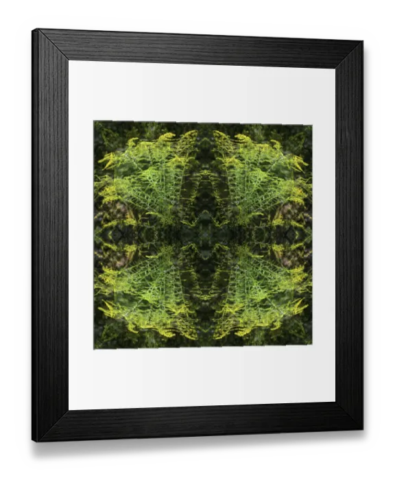 Framed Print : Colorful kaleidoscope Framed Print : Colorful kaleidoscope