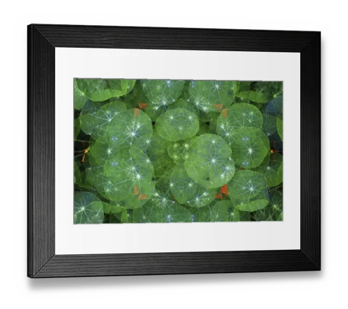 Framed Print : Colorful kaleidoscope Framed Print : Colorful kaleidoscope