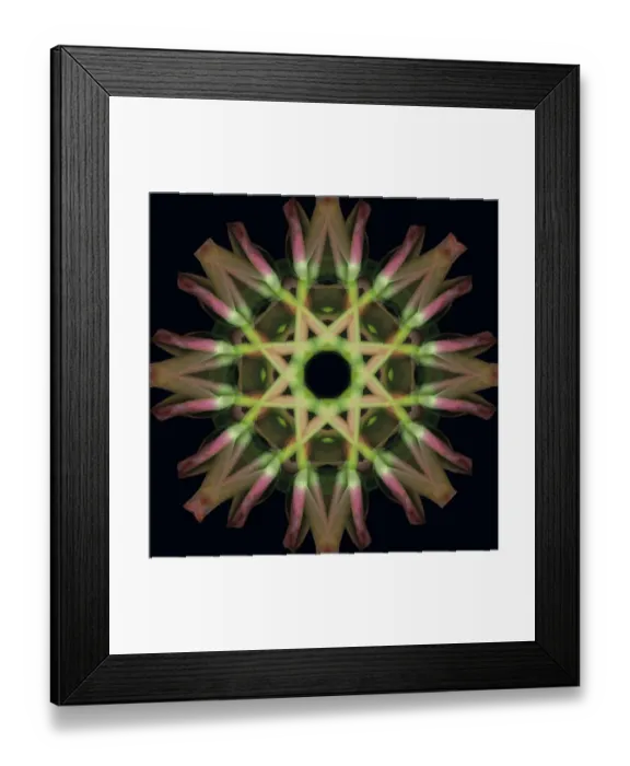 Framed Print : Colorful kaleidoscope Framed Print : Colorful kaleidoscope