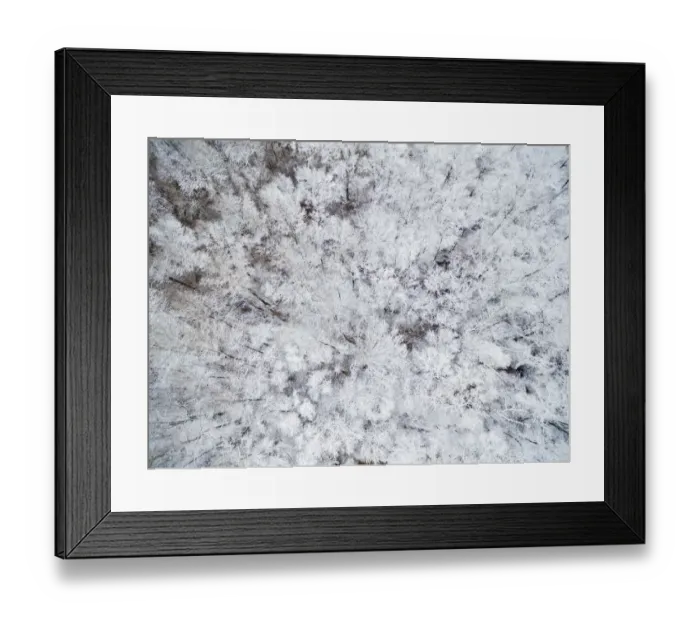 Framed Print : Aerial view of snow-covered trees, Marion County, Illinois
