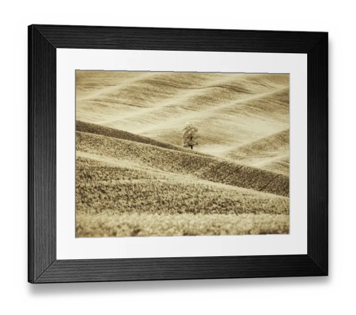 Framed Print : USA, Washington State. Infrared of lone tree in wheat field Framed Print : USA, Washington State. Infrared of lone tree in wheat field