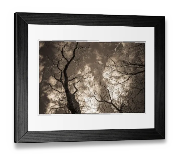 Framed Print : USA, Massachusetts, Cape Ann, Gloucester. Dogtown Commons Framed Print : USA, Massachusetts, Cape Ann, Gloucester. Dogtown Commons