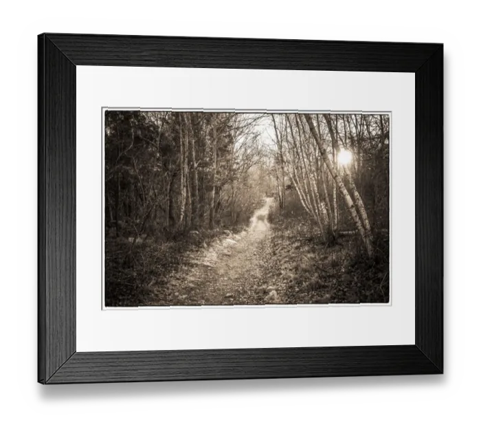 Framed Print : USA, Massachusetts, Cape Ann, Gloucester. Dogtown Commons Framed Print : USA, Massachusetts, Cape Ann, Gloucester. Dogtown Commons