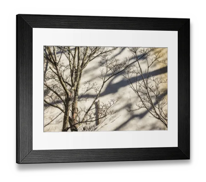 Framed Print : USA, Massachusetts, Nantucket Island. Nantucket Town, wall detail