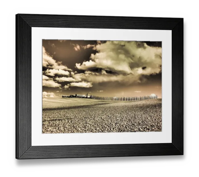 Framed Print : Italy, Southern Tuscany. Infrared image of long row of Cypress Framed Print : Italy, Southern Tuscany. Infrared image of long row of Cypress