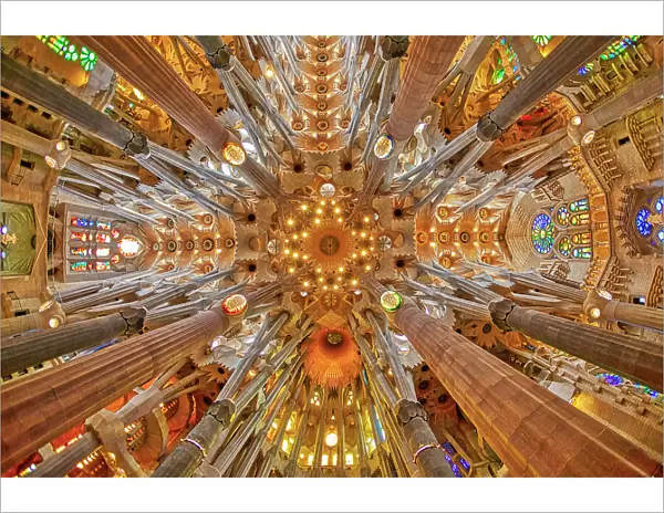 Spain, Barcelona. Sagrada Familia interior