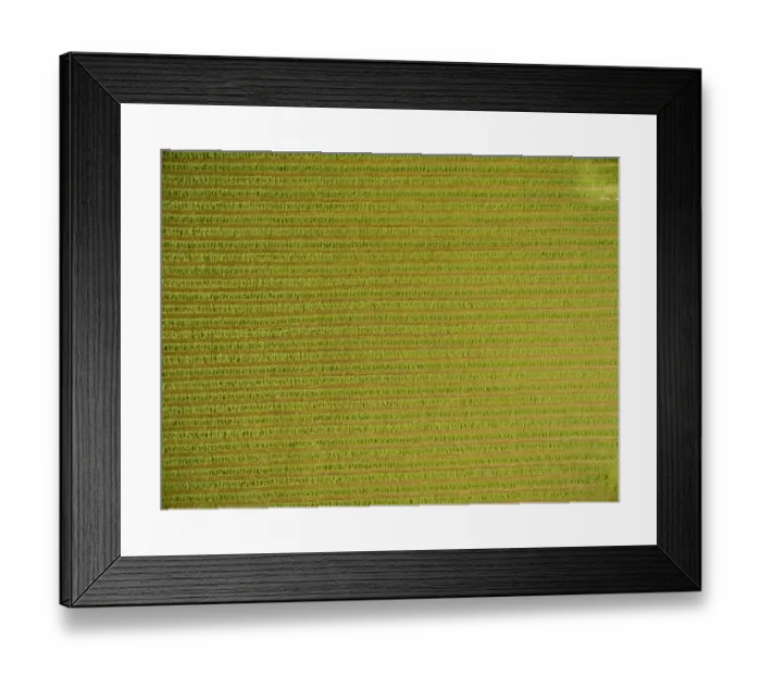 Framed Print : Alfalfa field after its been cut and before it is baled, Marion County, Illinois Framed Print : Alfalfa field after its been cut and before it is baled, Marion County, Illinois