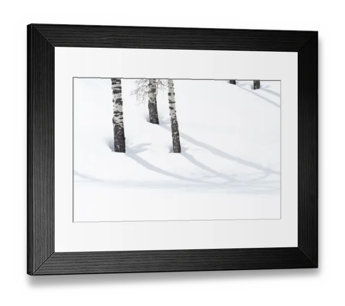 Framed Print : Yellowstone National Park, Lamar Valley. Aspen trees cast shadows on the snow Framed Print : Yellowstone National Park, Lamar Valley. Aspen trees cast shadows on the snow