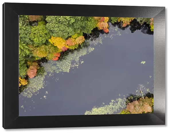 Usa, Massachusetts, Acton. Pond with fall foliage (aerial view)