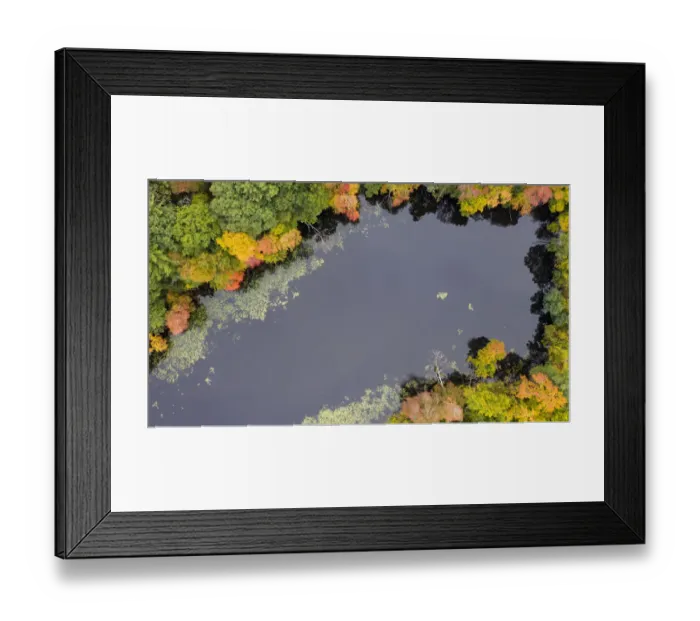 Framed Print : Usa, Massachusetts, Acton. Pond with fall foliage (aerial view)