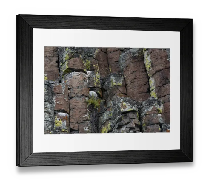 Framed Print : USA, Wyoming. Sheepeater Cliffs detail, Yellowstone National Park Framed Print : USA, Wyoming. Sheepeater Cliffs detail, Yellowstone National Park