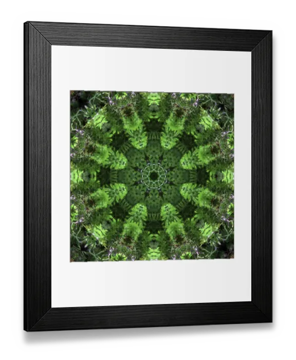 Framed Print : Colorful kaleidoscope