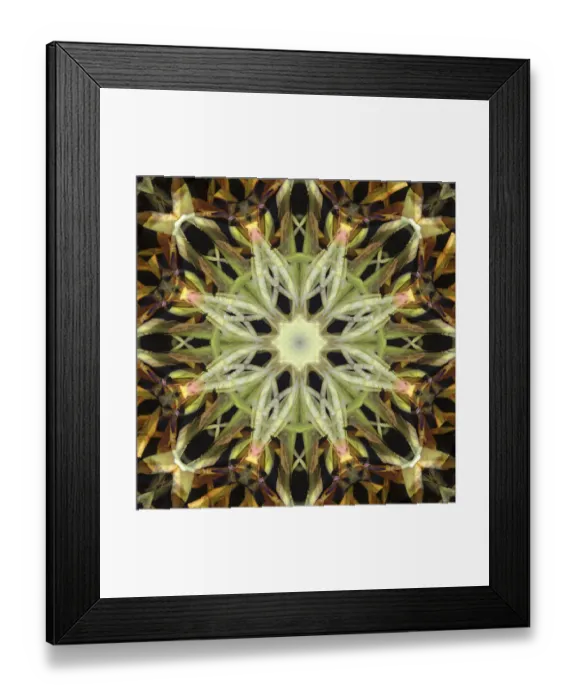 Framed Print : Colorful kaleidoscope