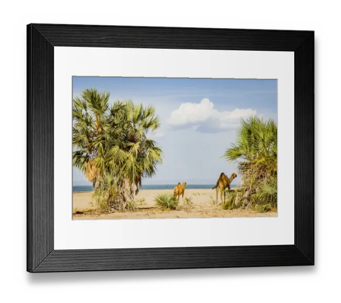 Framed Print : East Africa, Kenya. Omo River Basin, west shore of Lake Turkana, Lobolo Camp