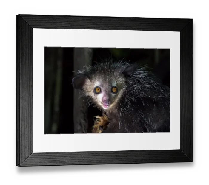Framed Print : Africa, Madagascar, Lake Ampitabe, Akanin ny nosy Reserve Framed Print : Africa, Madagascar, Lake Ampitabe, Akanin ny nosy Reserve