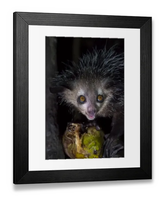 Framed Print : Africa, Madagascar, Lake Ampitabe, Akanin ny nosy Reserve Framed Print : Africa, Madagascar, Lake Ampitabe, Akanin ny nosy Reserve