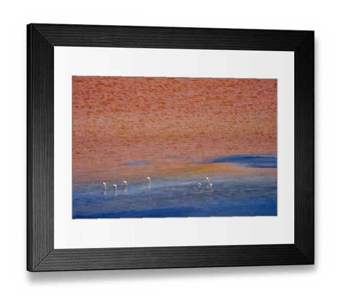 Framed Print : Flamingos on Laguna Colorada, Eduardo Avaroa Andean Fauna National Reserve Framed Print : Flamingos on Laguna Colorada, Eduardo Avaroa Andean Fauna National Reserve
