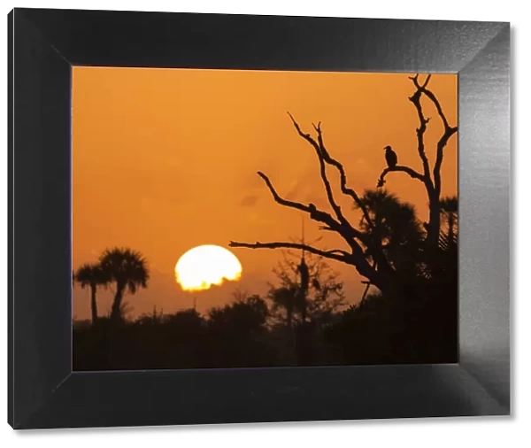 USA, Florida. Sun rising over the Orlando Wetlands Park