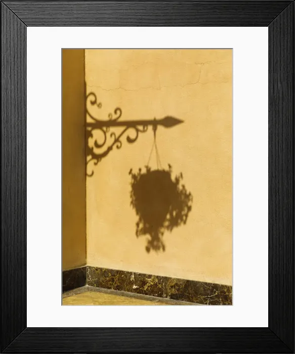 Framed Print : State of Qatar, Doha. Shadow of hanging plant and ironwork Framed Print : State of Qatar, Doha. Shadow of hanging plant and ironwork