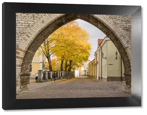 Baltic States, Estonia, Tallinn. Tallinn Old Town, arched entryway
