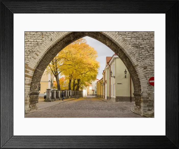 Framed Print : Baltic States, Estonia, Tallinn. Tallinn Old Town, arched entryway Framed Print : Baltic States, Estonia, Tallinn. Tallinn Old Town, arched entryway